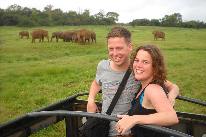 Guided Elephant Safari: Minneriya or Kaudulla - Photo 1 of 10